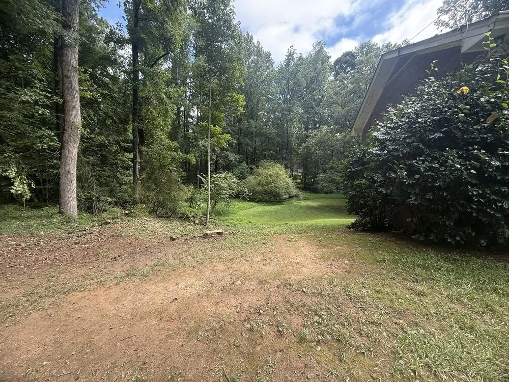 Professional residential landscaping in Roswell, GA by Naz Tree Service