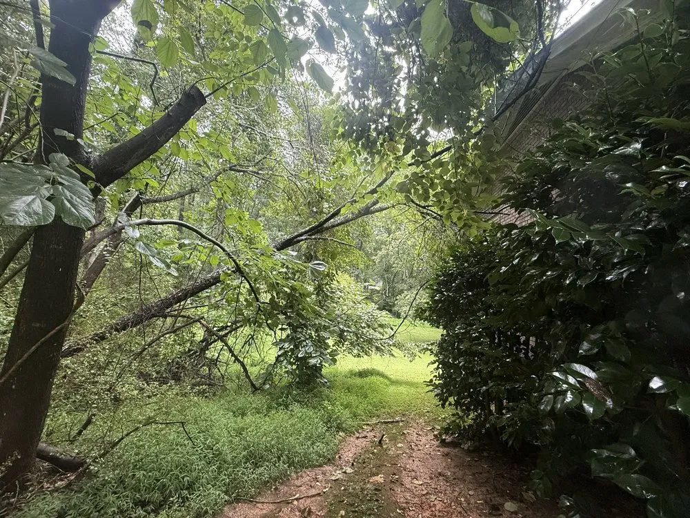 Reliable landscape design experts serving Roswell, GA - Naz Tree Service