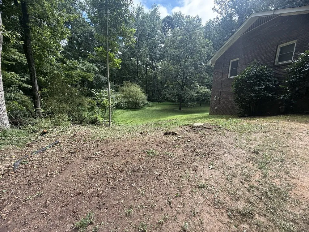 Reliable landscaping services with custom design across Roswell, GA - Naz Tree Service