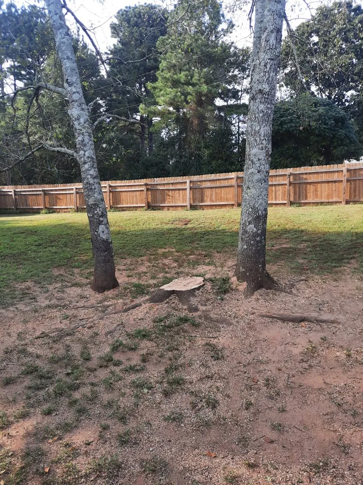 Local lawn care service for homes in Roswell, GA by Naz Tree Service