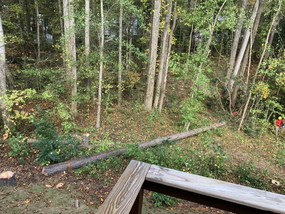 Expert lawn care service in Roswell, GA by Naz Tree Service