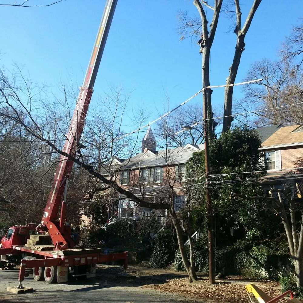 Top-rated garden landscaping for beautiful yards in Roswell, GA by Naz Tree Service