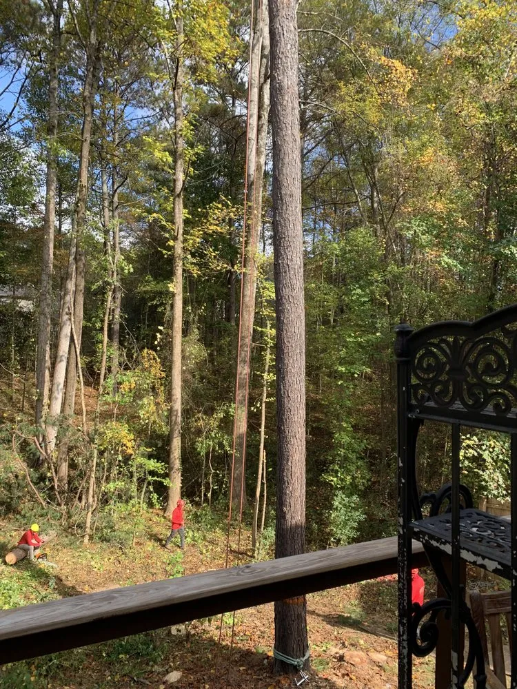 Custom yard cleanup service experts serving Roswell, GA - Naz Tree Service