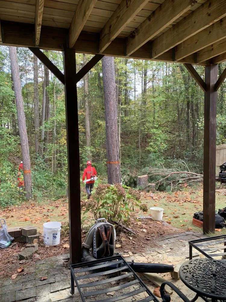 Custom yard maintenance in Roswell, GA by Naz Tree Service