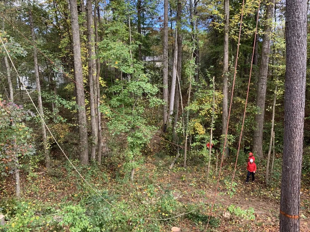 Local lawn care service in Roswell, GA by Naz Tree Service