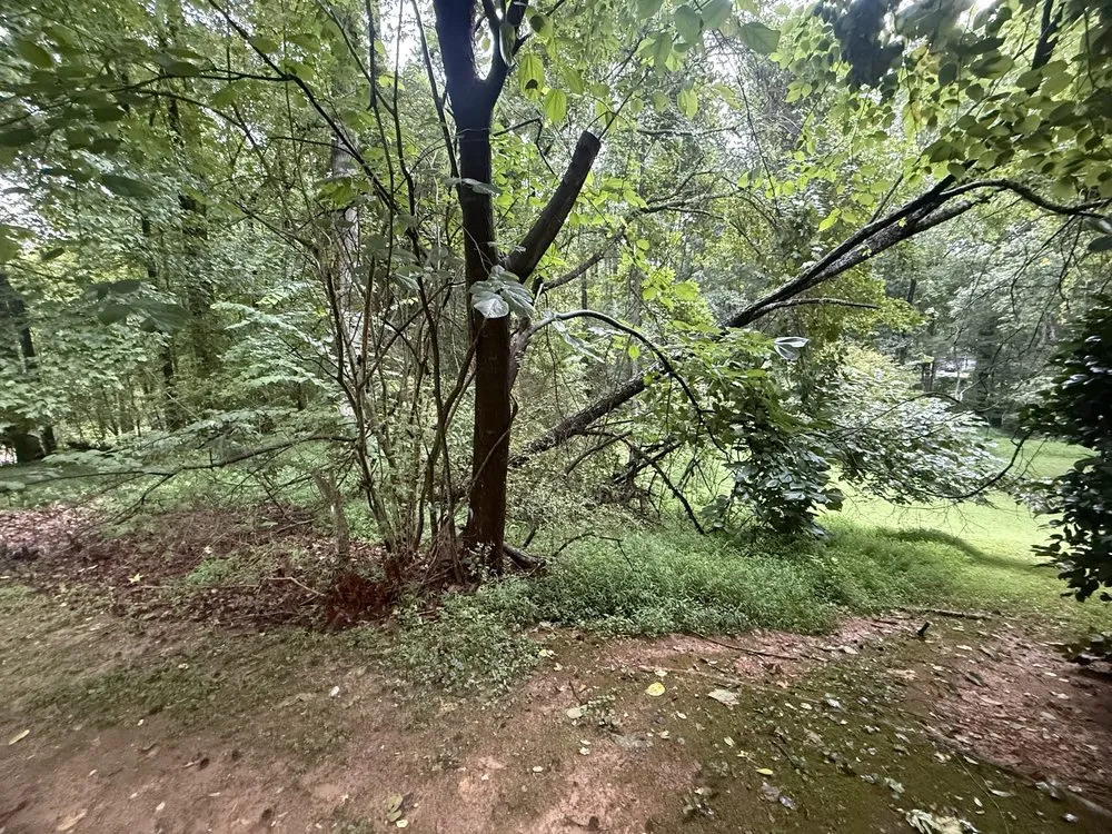 Expert garden landscaping in Roswell, GA - Naz Tree Service