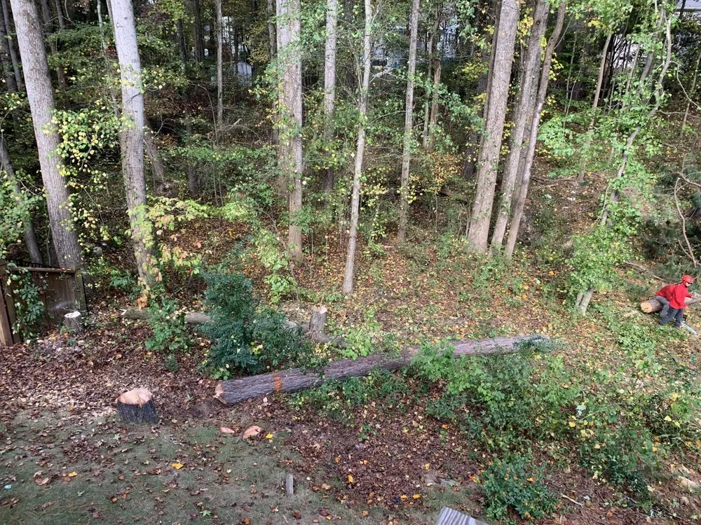 Reliable residential landscaping in Roswell, GA by Naz Tree Service