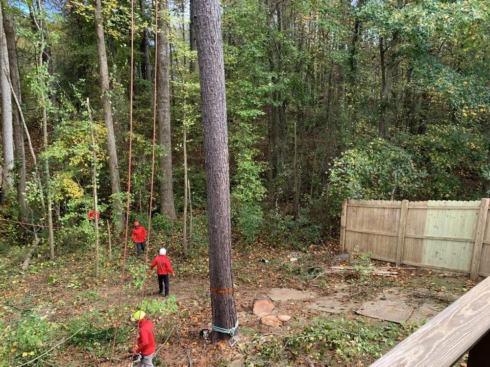 Professional yard maintenance for year-round maintenance across Roswell, GA - Naz Tree Service