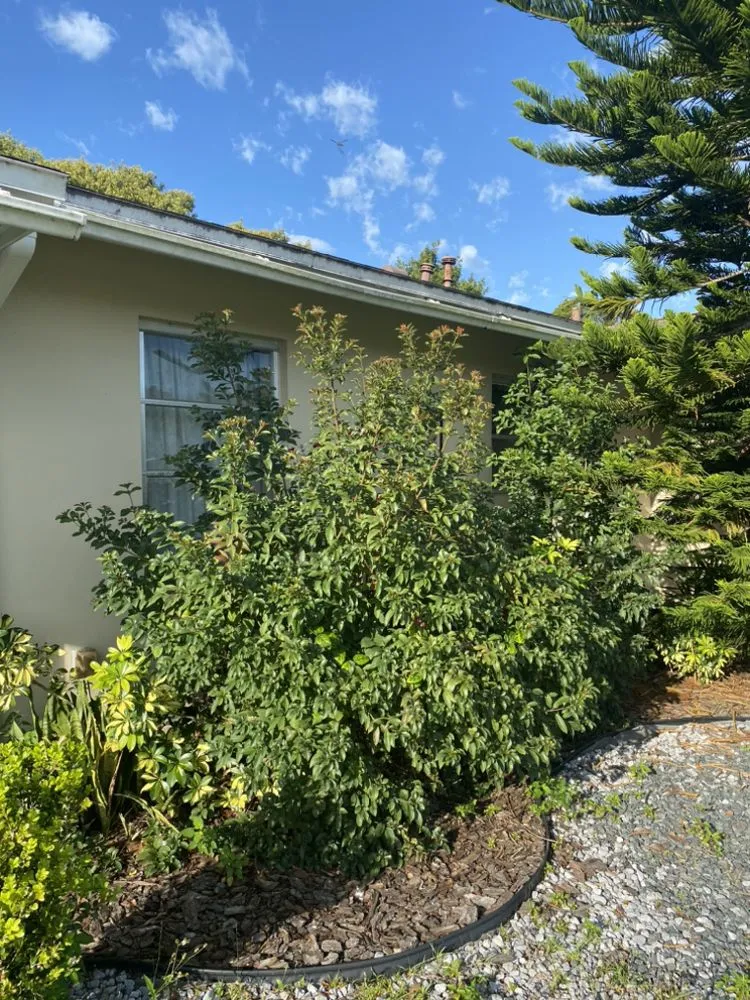 Local outdoor landscaping for beautiful yards across Sanford, FL - Nazareth landscaping