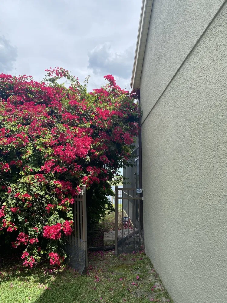 Trusted lawn mowing service experts serving Sanford, FL - Nazareth landscaping