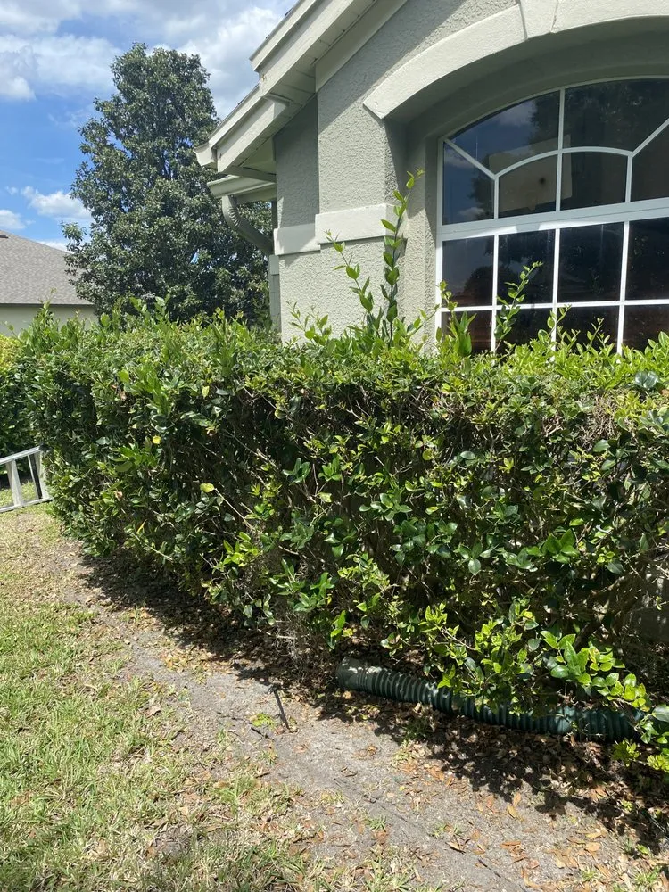 Affordable landscaping services experts serving Sanford, FL - Nazareth landscaping