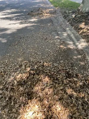 Nazareth landscaping