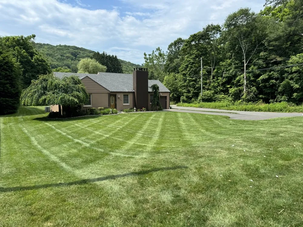 Top-rated yard cleanup service near you in Waterbury, CT by Nazario Y Tejeda Landscaping