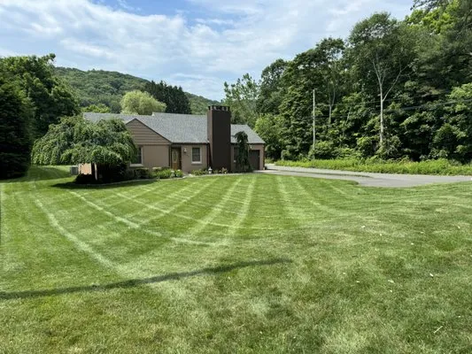 Nazario Y Tejeda Landscaping Logo