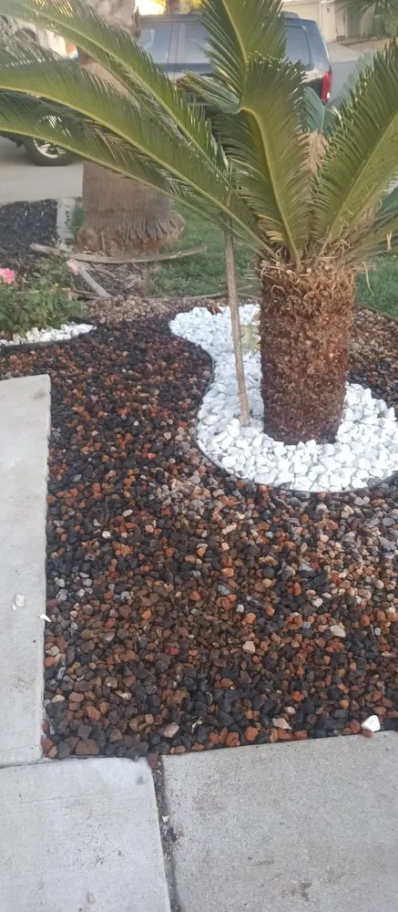 Professional yard maintenance in Olivehurst, CA - Nazario's Lawn Service