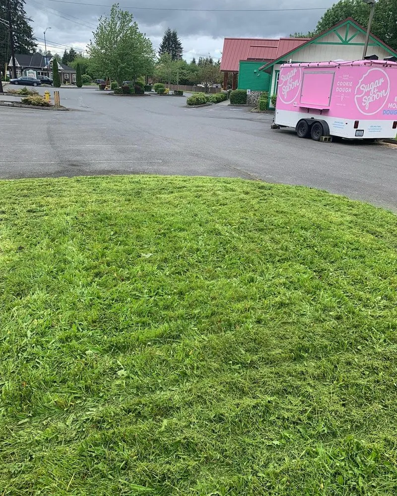 Reliable lawn mowing service near you across Arlington, WA - Nazars Yard Care Service
