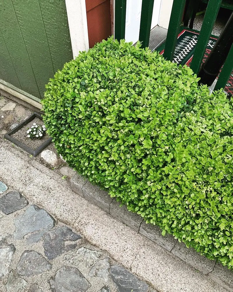 Custom residential landscaping in Arlington, WA by Nazars Yard Care Service