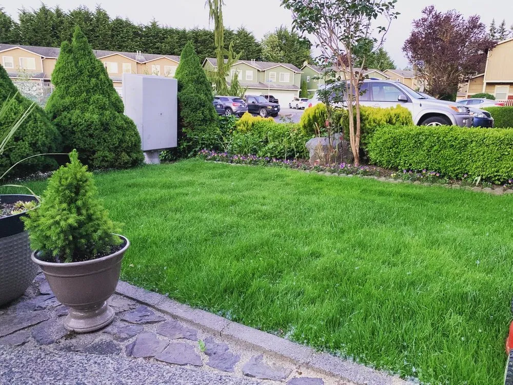 Affordable landscape design for outdoor upgrades across Arlington, WA - Nazars Yard Care Service