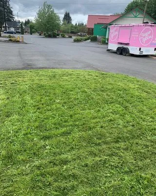 Nazars Yard Care Service Logo