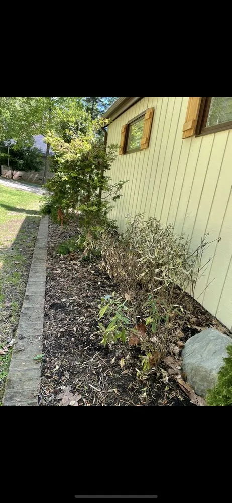 Reliable lawn care service experts serving Durham, NC - Nazo Landscaping