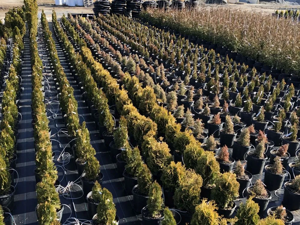 Professional residential landscaping in Durham, NC by Nazo Landscaping