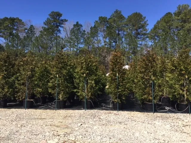 Custom outdoor landscaping in Durham, NC - Nazo Landscaping