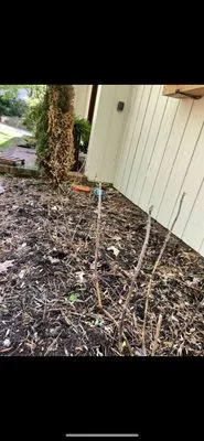 Nazo Landscaping Logo