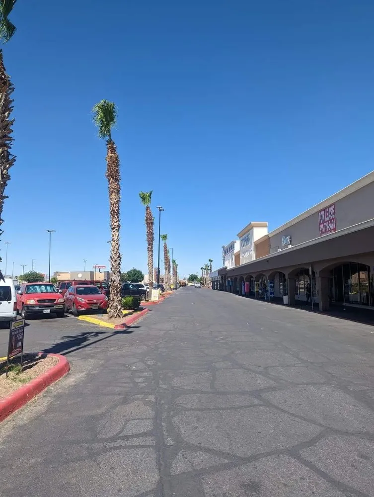 Expert yard maintenance in El Paso, TX - NB contractors