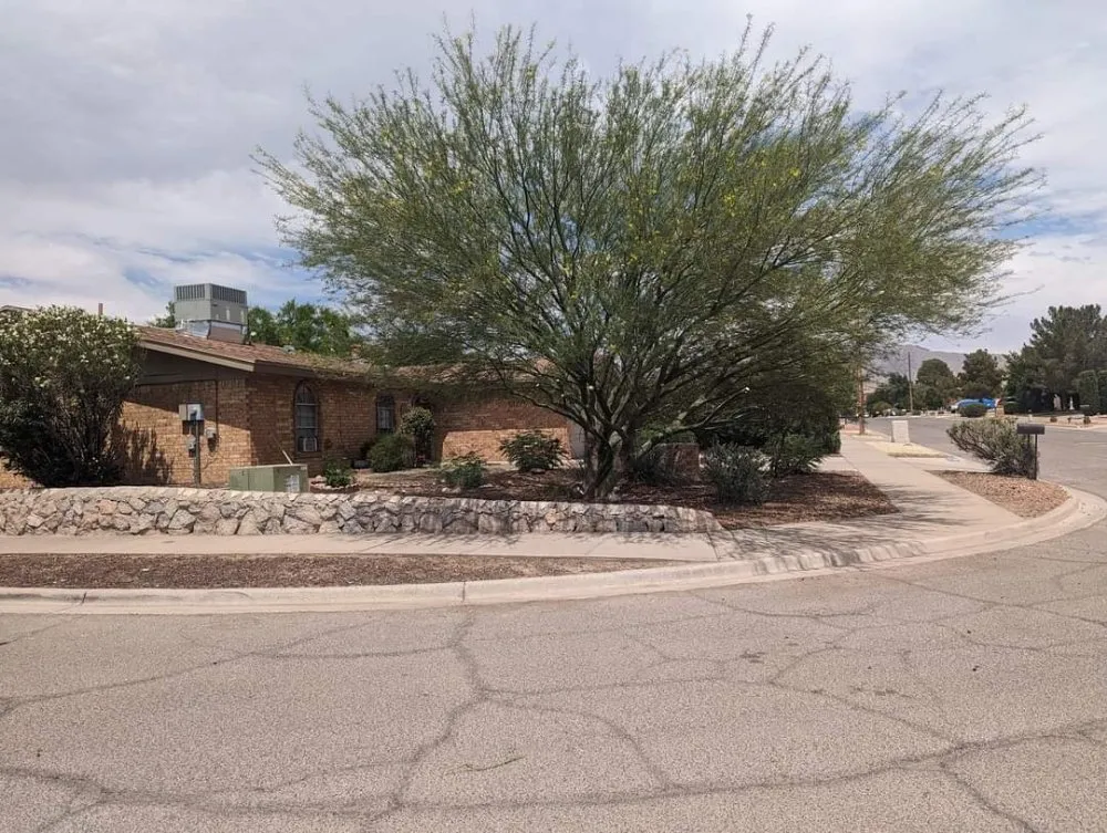 Trusted landscape design in El Paso, TX by NB contractors