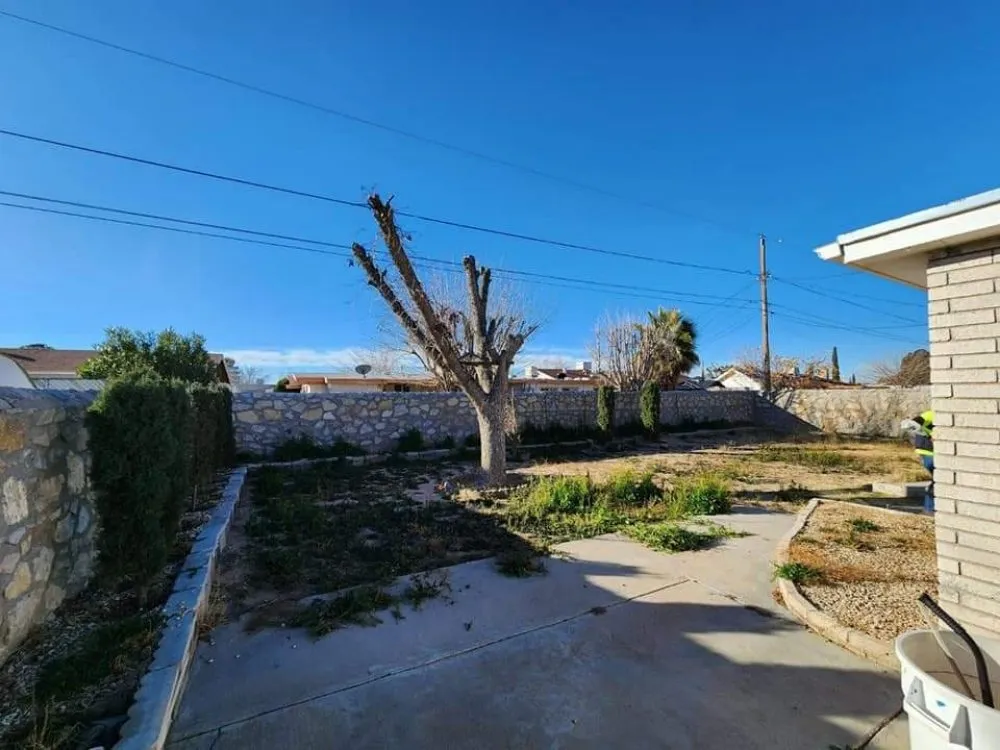 Local yard cleanup service in El Paso, TX - NB contractors