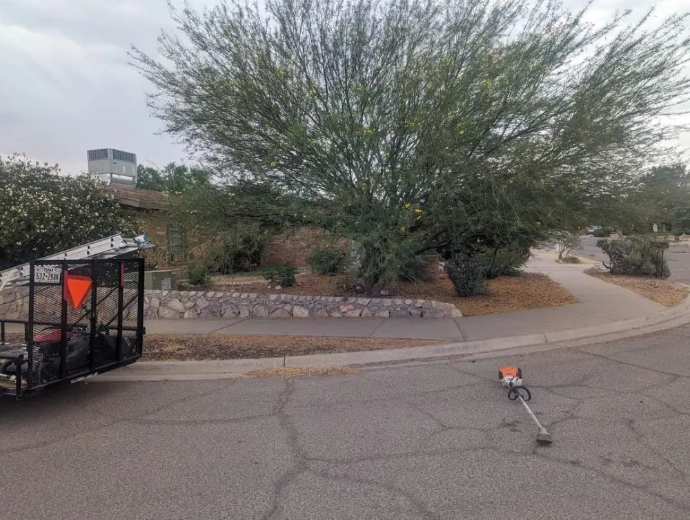 Trusted lawn mowing service in El Paso, TX - NB contractors