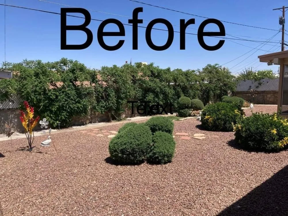 Professional yard cleanup service in El Paso, TX - NB contractors