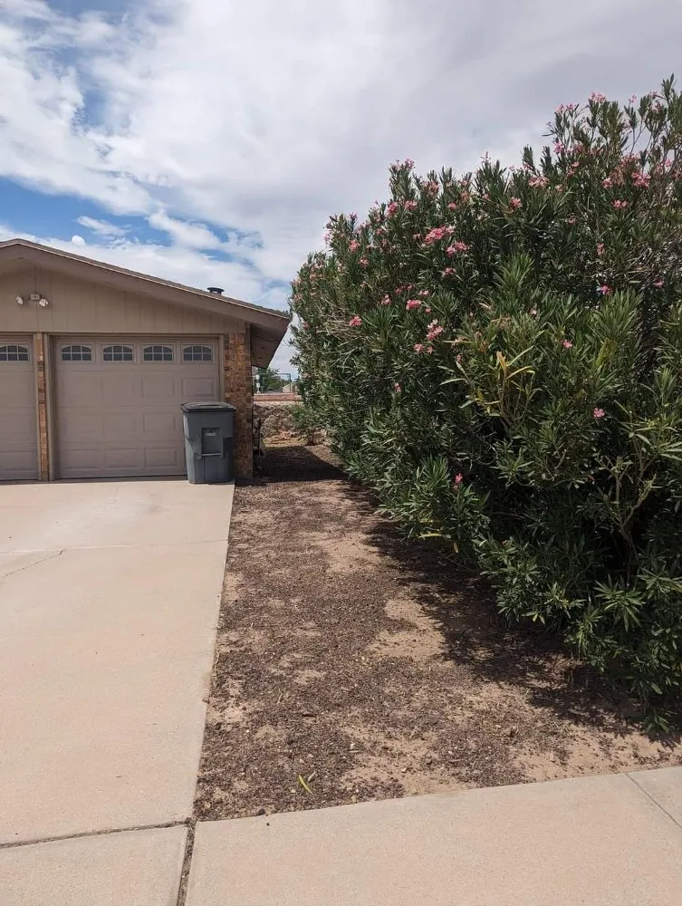 Trusted landscaping services experts serving El Paso, TX - NB contractors