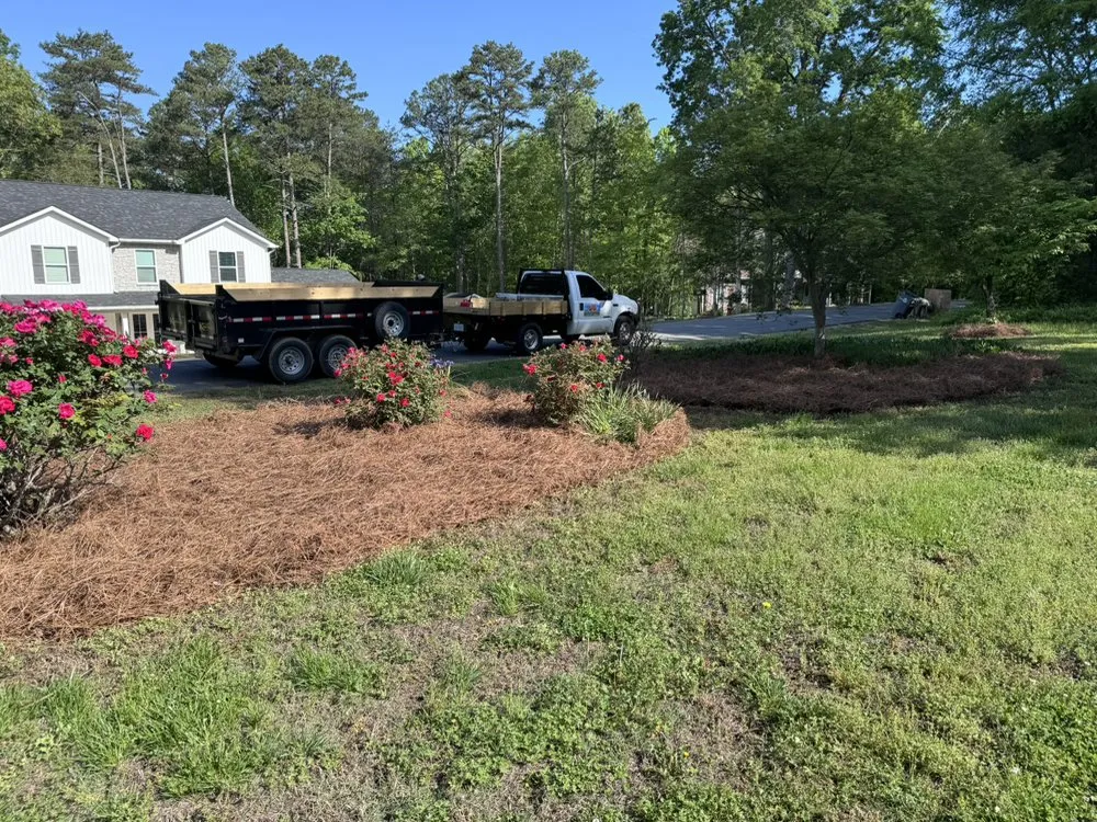 Expert lawn care service in Lexington, NC by NB Enterprises Landscaping