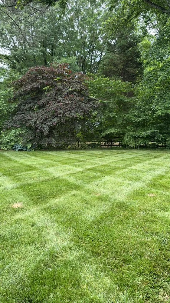 Local landscape installation experts serving Lexington, NC - NB Enterprises Landscaping