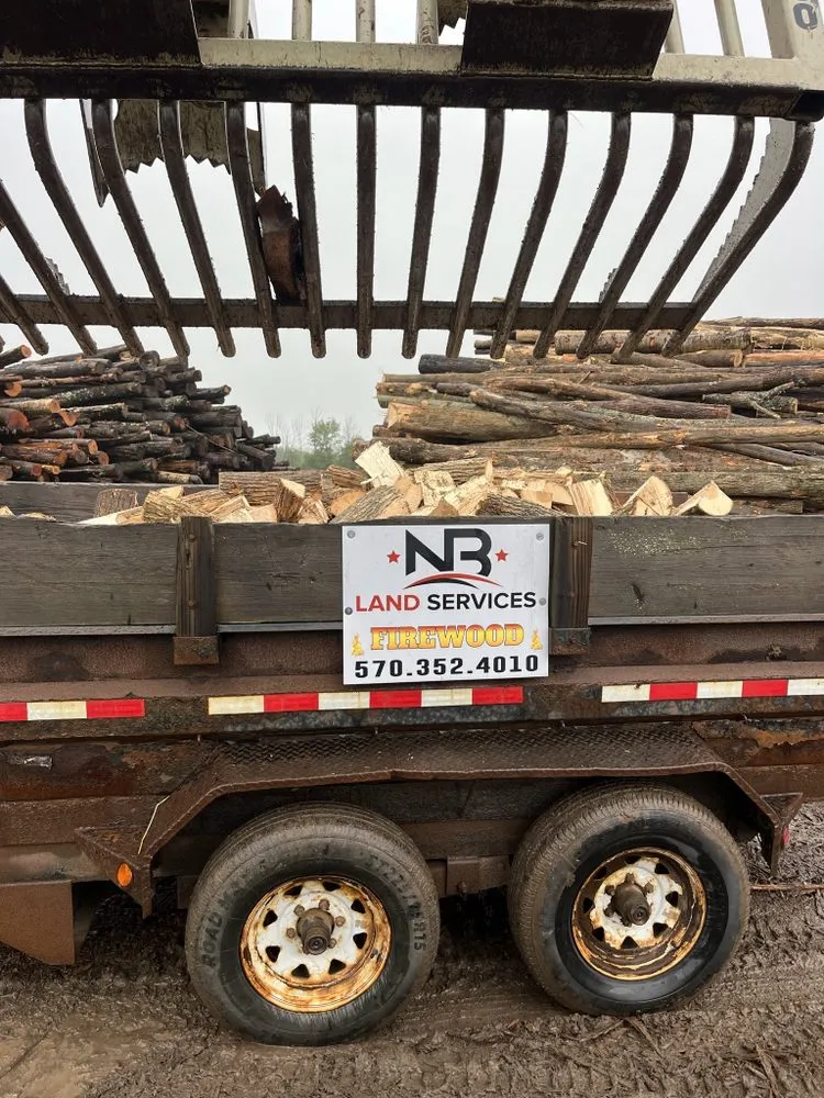 Reliable yard cleanup service in Forest City, PA by NB Land Services