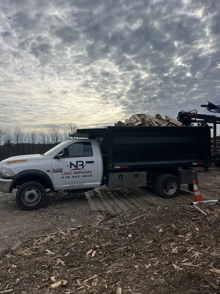 Expert landscape installation for beautiful yards in Forest City, PA by NB Land Services