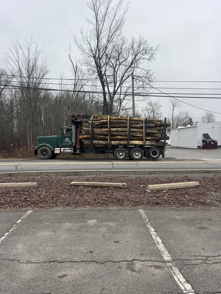 Trusted landscaping services for outdoor upgrades in Forest City, PA by NB Land Services