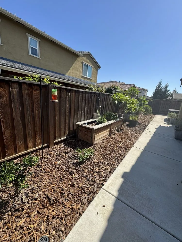 Top-rated residential landscaping for year-round maintenance across Pittsburg, CA - NB Landscape Pro