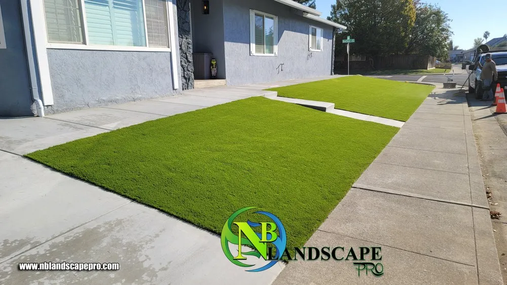 Local yard maintenance in Pittsburg, CA by NB Landscape Pro