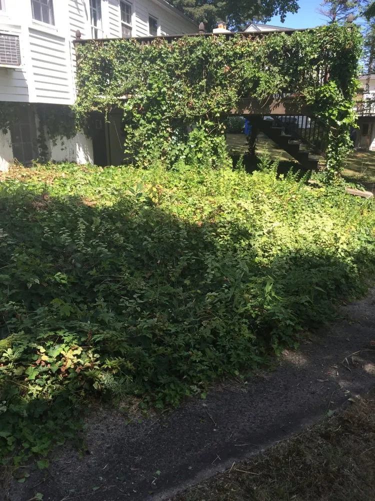 Top-rated landscape design in Hamden, CT - NB Landscaping