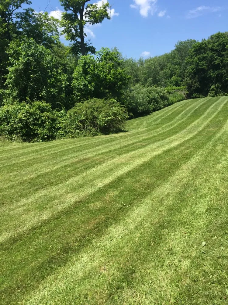 Professional yard cleanup service for year-round maintenance across Hamden, CT - NB Landscaping