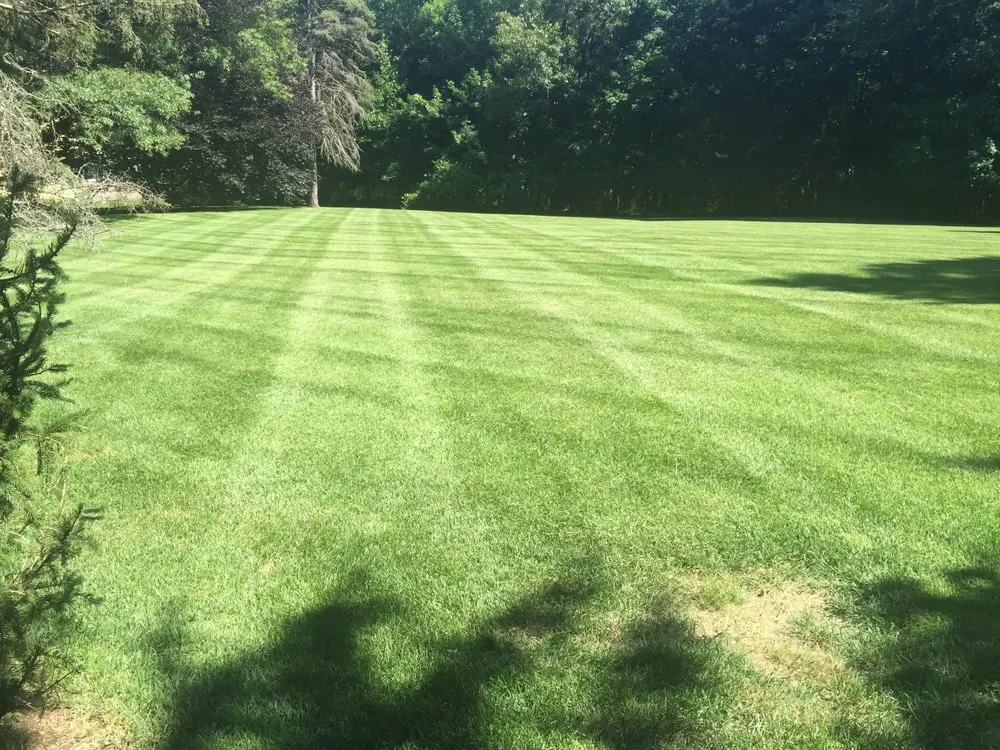Local lawn mowing service in Hamden, CT by NB Landscaping