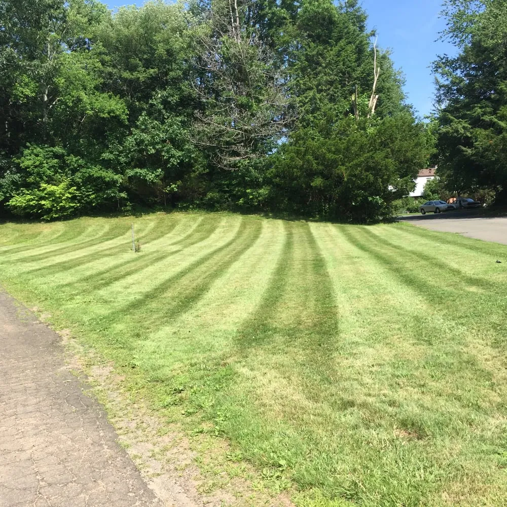 Expert landscaping services for beautiful yards across Hamden, CT - NB Landscaping