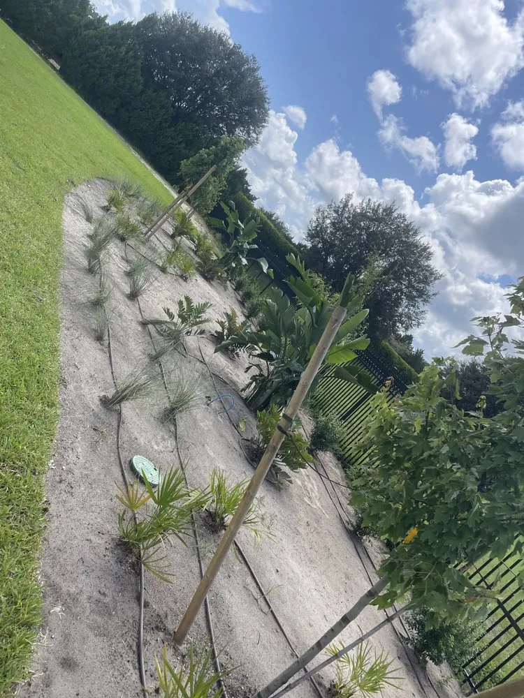 Expert yard cleanup service experts serving New Port Richey, FL - NB Landscaping