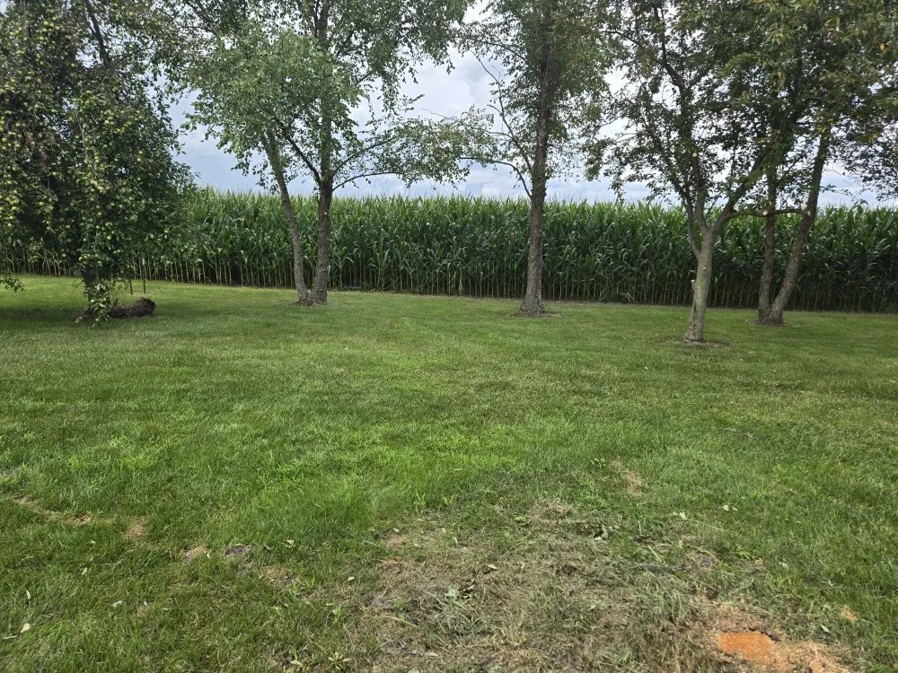 Reliable landscape design for residential properties across Toledo, OH - NB Landscaping