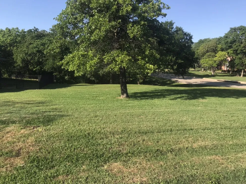 Affordable yard maintenance experts serving Arlington, TX - NB Lawn Care