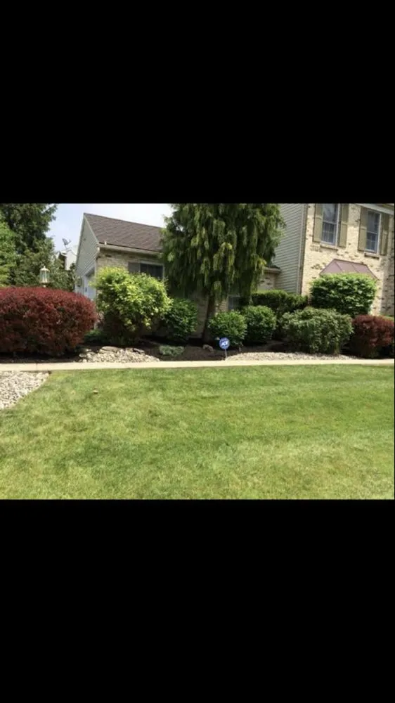 Reliable yard cleanup service in Northampton, PA by NB LawnCare & Landscaping