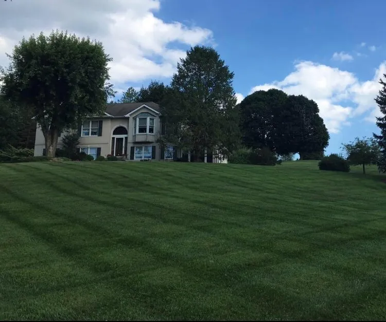 Affordable landscape installation for outdoor upgrades across Northampton, PA - NB LawnCare & Landscaping