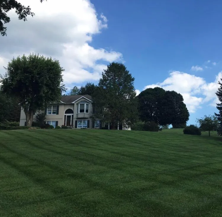 Expert residential landscaping near you in Northampton, PA by NB LawnCare & Landscaping